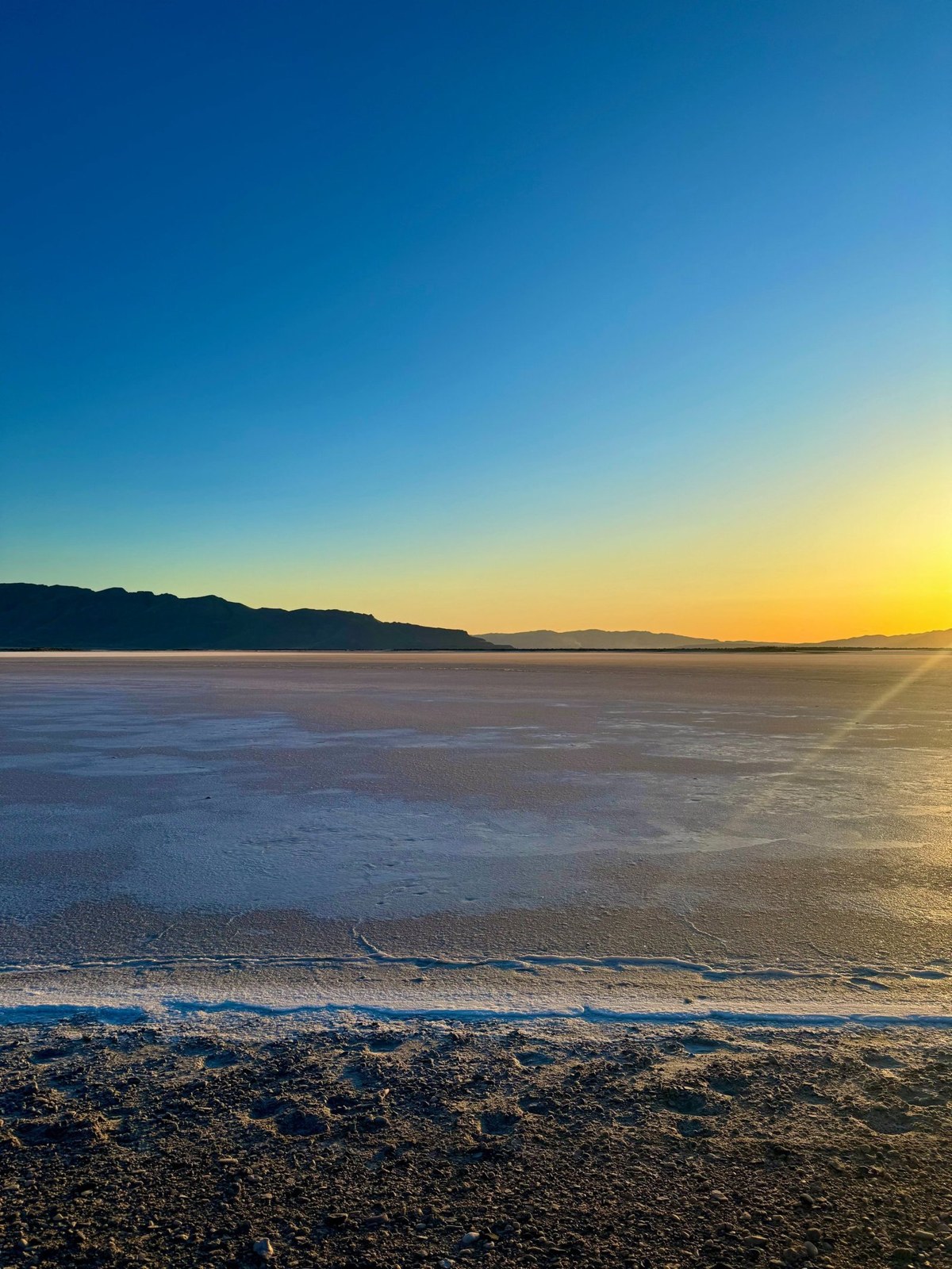 Buffalos, Salt Flats, Pink Water and Wide-Open Wonder!