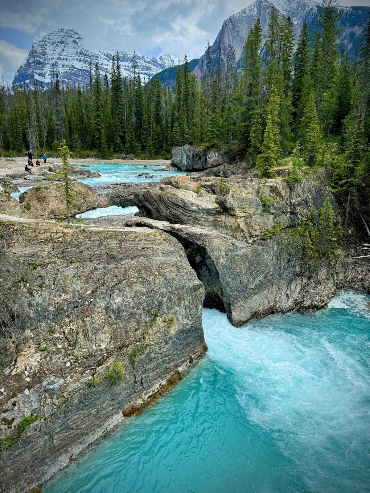 View of the land bridge at Kicking Horse River, Yoho National Park, Canada